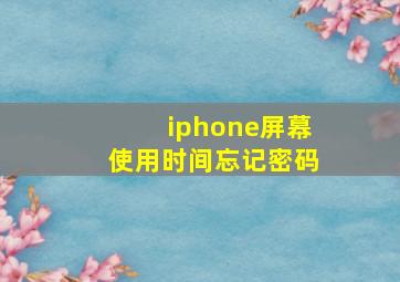 iphone屏幕使用时间忘记密码