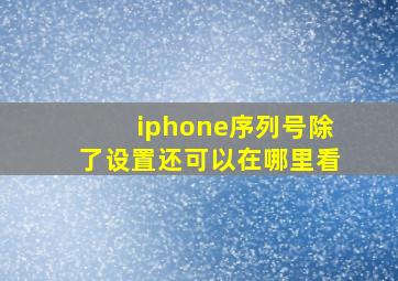 iphone序列号除了设置还可以在哪里看