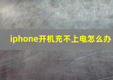 iphone开机充不上电怎么办