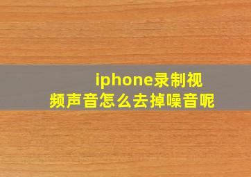 iphone录制视频声音怎么去掉噪音呢