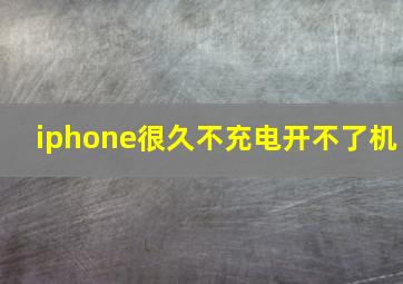 iphone很久不充电开不了机