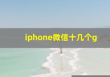 iphone微信十几个g