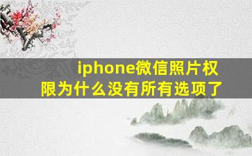 iphone微信照片权限为什么没有所有选项了