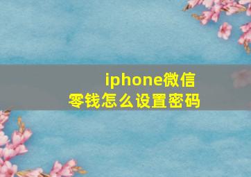 iphone微信零钱怎么设置密码