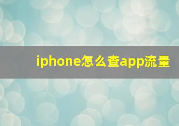 iphone怎么查app流量