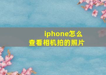 iphone怎么查看相机拍的照片