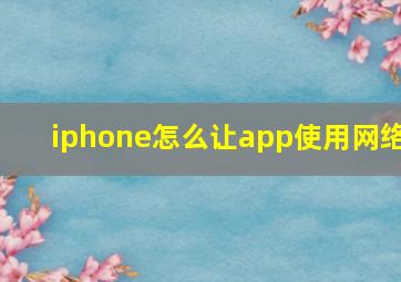 iphone怎么让app使用网络