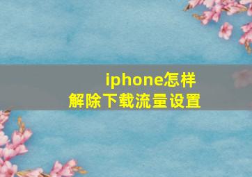 iphone怎样解除下载流量设置