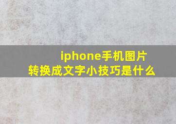 iphone手机图片转换成文字小技巧是什么