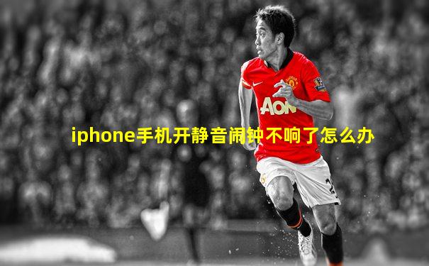 iphone手机开静音闹钟不响了怎么办