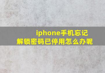 iphone手机忘记解锁密码已停用怎么办呢