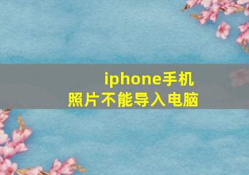 iphone手机照片不能导入电脑