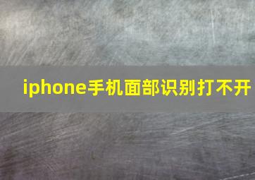 iphone手机面部识别打不开