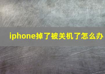 iphone掉了被关机了怎么办