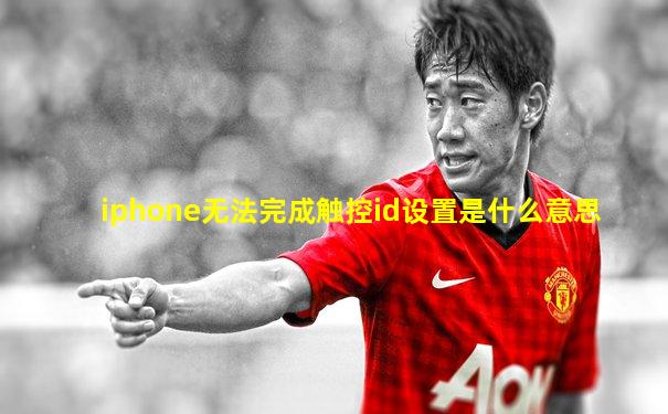 iphone无法完成触控id设置是什么意思