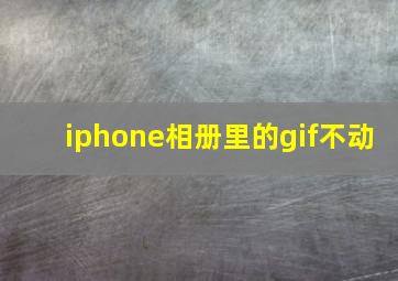 iphone相册里的gif不动