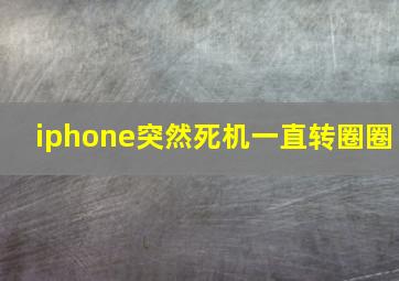 iphone突然死机一直转圈圈