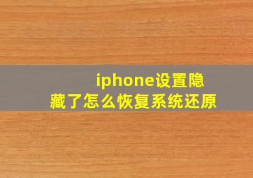 iphone设置隐藏了怎么恢复系统还原