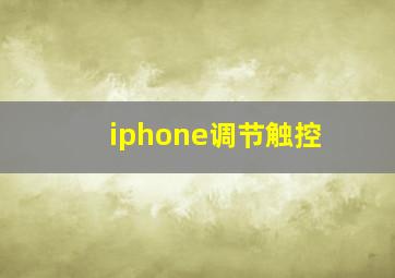 iphone调节触控