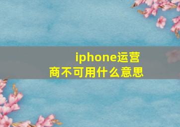 iphone运营商不可用什么意思