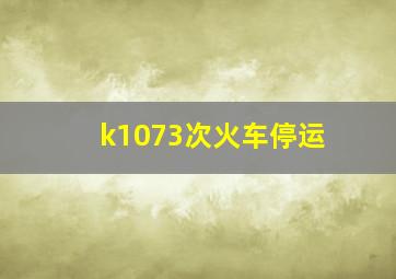 k1073次火车停运