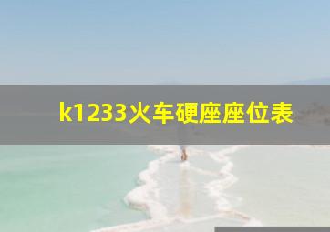 k1233火车硬座座位表