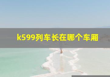 k599列车长在哪个车厢