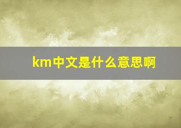 km中文是什么意思啊