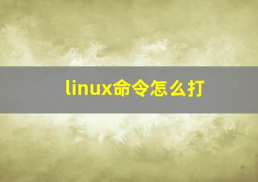 linux命令怎么打