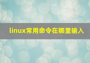 linux常用命令在哪里输入