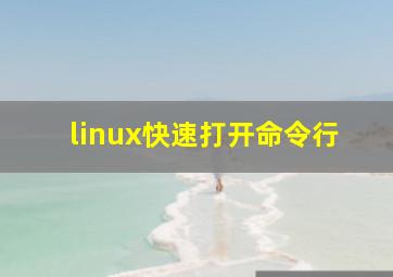 linux快速打开命令行