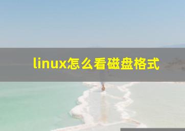 linux怎么看磁盘格式