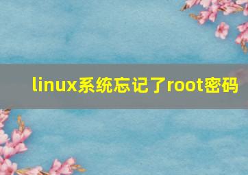 linux系统忘记了root密码