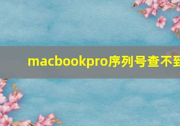 macbookpro序列号查不到