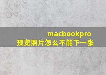 macbookpro预览照片怎么不能下一张