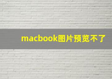 macbook图片预览不了