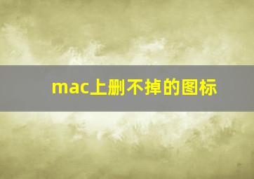 mac上删不掉的图标