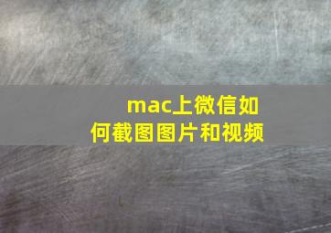 mac上微信如何截图图片和视频