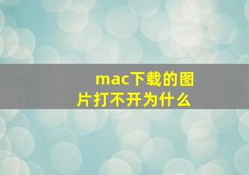 mac下载的图片打不开为什么