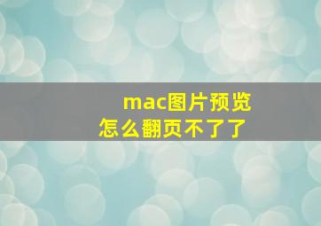 mac图片预览怎么翻页不了了