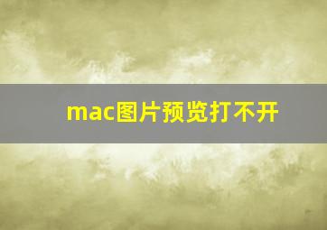 mac图片预览打不开