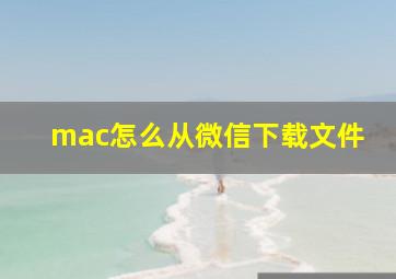 mac怎么从微信下载文件