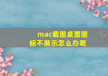 mac截图桌面图标不展示怎么办呢