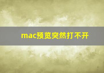 mac预览突然打不开