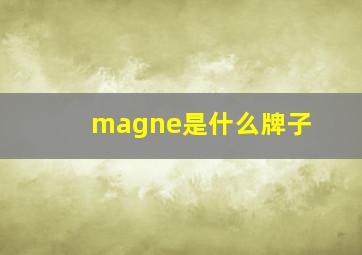 magne是什么牌子