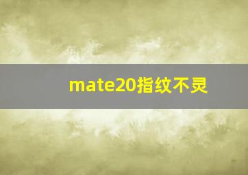 mate20指纹不灵