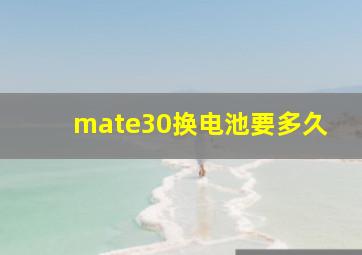 mate30换电池要多久