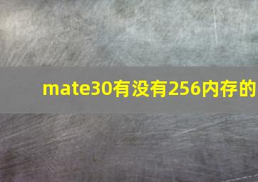 mate30有没有256内存的