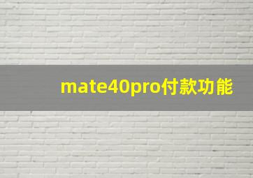 mate40pro付款功能