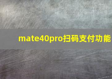 mate40pro扫码支付功能